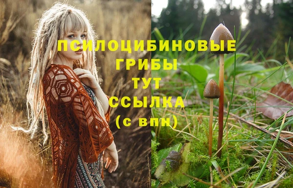 jwh Абаза