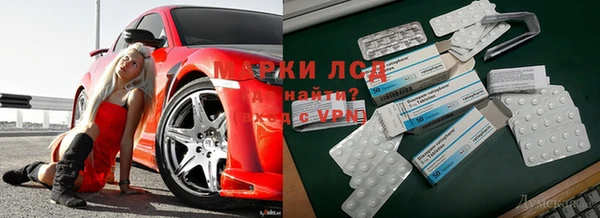 тгк Абинск